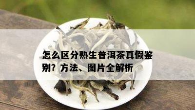 怎么区分熟生普洱茶真假鉴别？方法、图片全解析