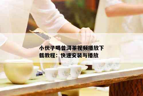 小伙子喝普洱茶视频播放下载教程：快速安装与播放