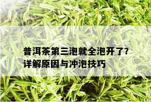 普洱茶第三泡就全泡开了？详解原因与冲泡技巧