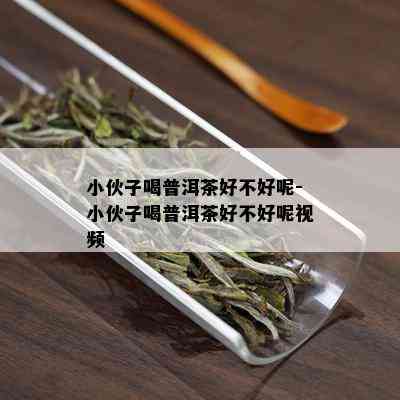 小伙子喝普洱茶好不好呢-小伙子喝普洱茶好不好呢视频