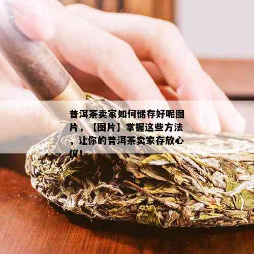 普洱茶卖家如何储存好呢图片，【图片】掌握这些方法，让你的普洱茶卖家存放心仪！