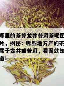 哪里的茶算龙井普洱茶呢图片，揭秘：哪些地方产的茶属于龙井或普洱，看图就知道！