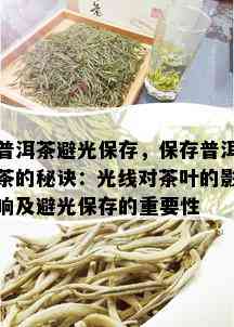 普洱茶避光保存，保存普洱茶的秘诀：光线对茶叶的影响及避光保存的重要性