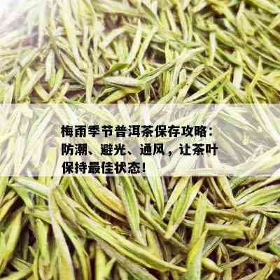 梅雨季节普洱茶保存攻略：防潮、避光、通风，让茶叶保持更佳状态！