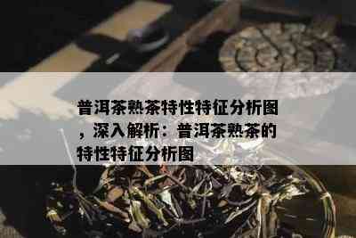 普洱茶熟茶特性特征分析图，深入解析：普洱茶熟茶的特性特征分析图