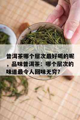 普洱茶哪个层次更好喝的呢，品味普洱茶：哪个层次的味道最令人回味无穷？