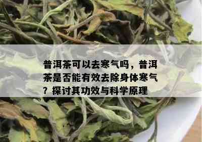 普洱茶可以去寒气吗，普洱茶是否能有效去除身体寒气？探讨其功效与科学原理