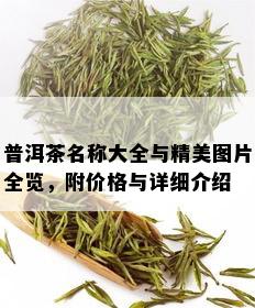 普洱茶名称大全与精美图片全览，附价格与详细介绍