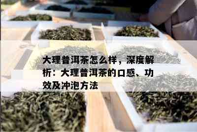 大理普洱茶怎么样，深度解析：大理普洱茶的口感、功效及冲泡方法