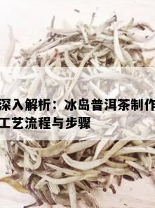 深入解析：冰岛普洱茶制作工艺流程与步骤