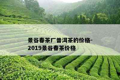 景谷春茶厂普洱茶的价格-2019景谷春茶价格