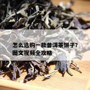 怎么选购一款普洱茶饼子？图文视频全攻略