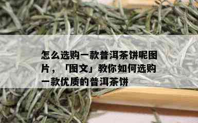 怎么选购一款普洱茶饼呢图片，「图文」教你如何选购一款优质的普洱茶饼