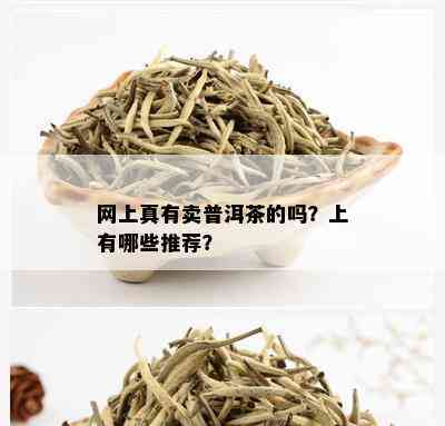 网上真有卖普洱茶的吗？上有哪些推荐？