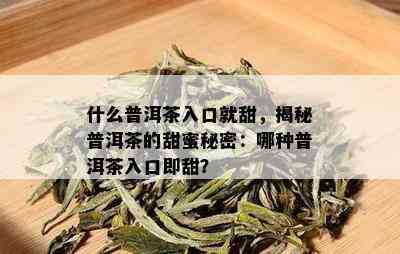 什么普洱茶入口就甜，揭秘普洱茶的甜蜜秘密：哪种普洱茶入口即甜？