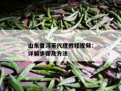 山东普洱茶代理教程视频：详解步骤及方法