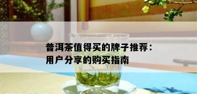 普洱茶值得买的牌子推荐：用户分享的购买指南