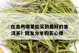 在泉州哪里能买到更好的普洱茶？网友分享购买心得