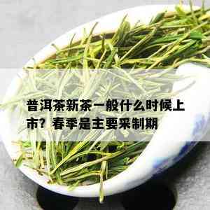 普洱茶新茶一般什么时候上市？春季是主要采制期