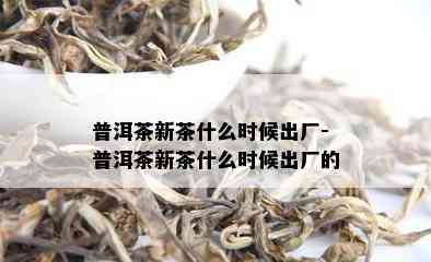 普洱茶新茶什么时候出厂-普洱茶新茶什么时候出厂的