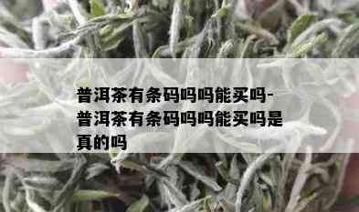 普洱茶有条码吗吗能买吗-普洱茶有条码吗吗能买吗是真的吗