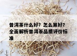 普洱茶什么好？怎么算好？全面解析普洱茶品质评价标准