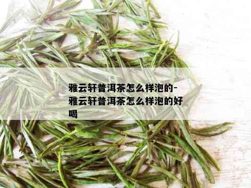 雅云轩普洱茶怎么样泡的-雅云轩普洱茶怎么样泡的好喝