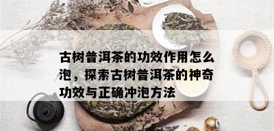 古树普洱茶的功效作用怎么泡，探索古树普洱茶的神奇功效与正确冲泡方法