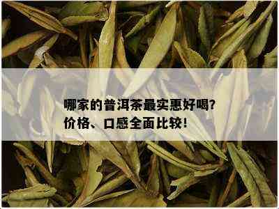 哪家的普洱茶最实惠好喝？价格、口感全面比较！