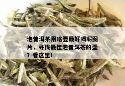 泡普洱茶用啥壶更好喝呢图片，寻找更佳泡普洱茶的壶？看这里！