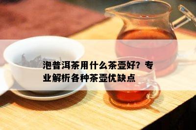 泡普洱茶用什么茶壶好？专业解析各种茶壶优缺点