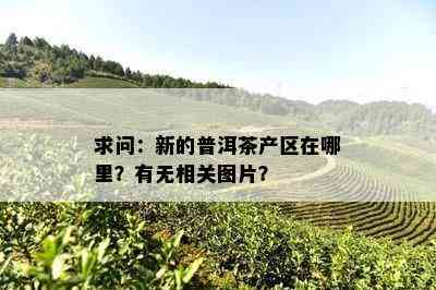 求问：新的普洱茶产区在哪里？有无相关图片？