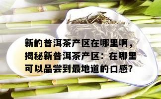 新的普洱茶产区在哪里啊，揭秘新普洱茶产区：在哪里可以品尝到最地道的口感？