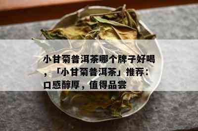 小甘菊普洱茶哪个牌子好喝，「小甘菊普洱茶」推荐：口感醇厚，值得品尝