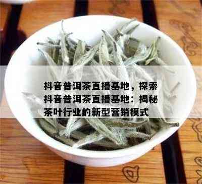 抖音普洱茶直播基地，探索抖音普洱茶直播基地：揭秘茶叶行业的新型营销模式