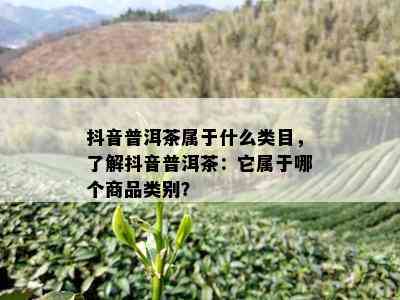 抖音普洱茶属于什么类目，了解抖音普洱茶：它属于哪个商品类别？