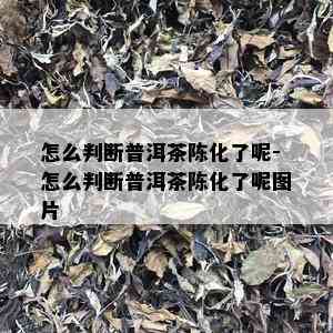 怎么判断普洱茶陈化了呢-怎么判断普洱茶陈化了呢图片