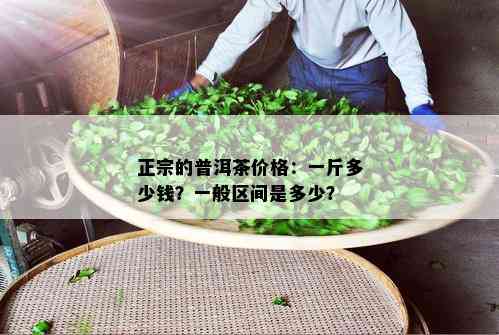 正宗的普洱茶价格：一斤多少钱？一般区间是多少？