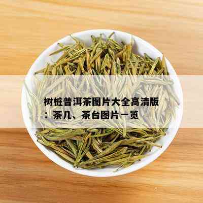 树桩普洱茶图片大全高清版：茶几、茶台图片一览