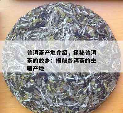 普洱茶产地介绍，探秘普洱茶的故乡：揭秘普洱茶的主要产地