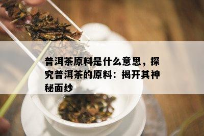 普洱茶原料是什么意思，探究普洱茶的原料：揭开其神秘面纱