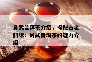 易武普洱茶介绍，探秘古老韵味：易武普洱茶的魅力介绍