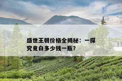 盛世王朝价格全揭秘：一探究竟白多少钱一瓶？