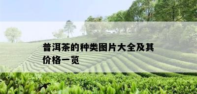 普洱茶的种类图片大全及其价格一览