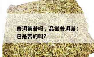 普洱茶苦吗，品尝普洱茶：它是苦的吗？