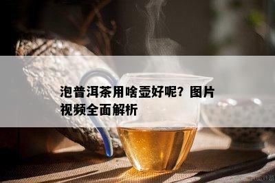 泡普洱茶用啥壶好呢？图片视频全面解析