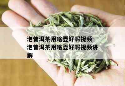 泡普洱茶用啥壶好呢视频-泡普洱茶用啥壶好呢视频讲解