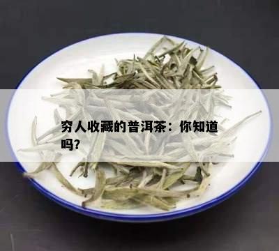 穷人收藏的普洱茶：你知道吗？