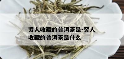 穷人收藏的普洱茶是-穷人收藏的普洱茶是什么