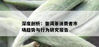 深度剖析：普洱茶消费者市场趋势与行为研究报告